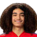 https://img.mrs-tech.com/img/football/player/87359ed9061cfd73513d827263deebcd.png